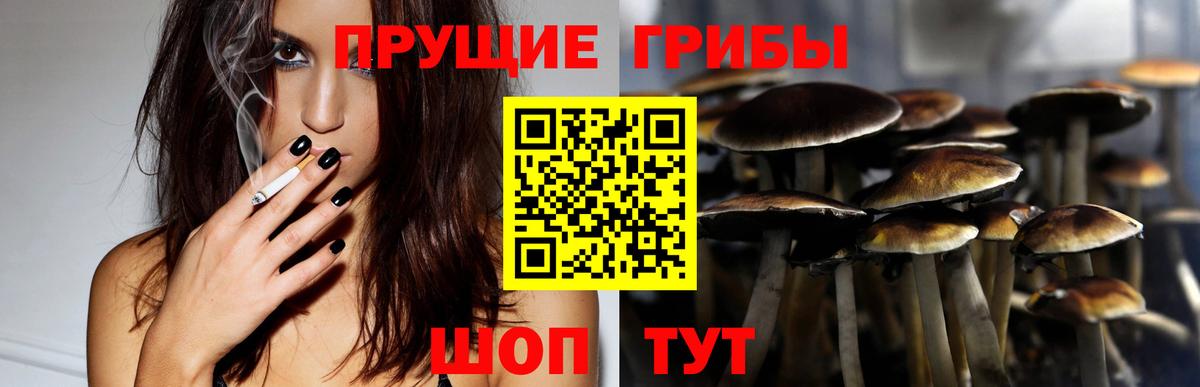 Галлюциногенные грибы Magic Shrooms Димитровград